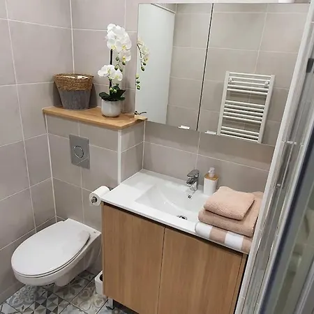 L'elegance Place De Jaude Et Garage Клермон-Ферран