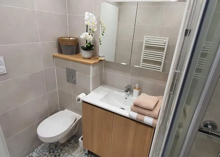 L'elegance Place De Jaude Et Garage Clermont-Ferrand